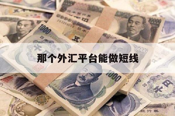 那个外汇平台能做短线(国内最好的外汇短线交易平台)