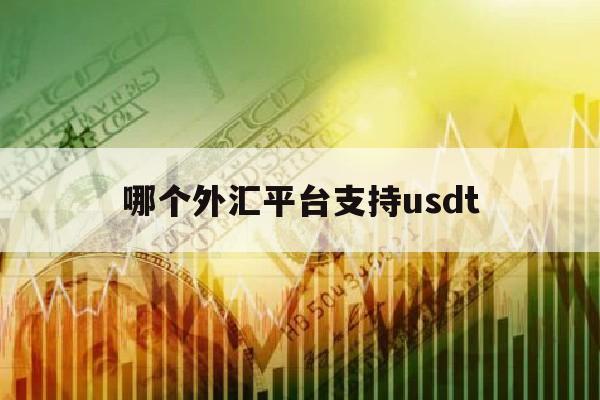 哪个外汇平台支持usdt(外汇平台用usdt入金安全吗)