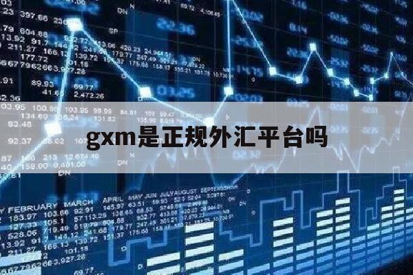 gxm是正规外汇平台吗(ghc外汇正规吗)