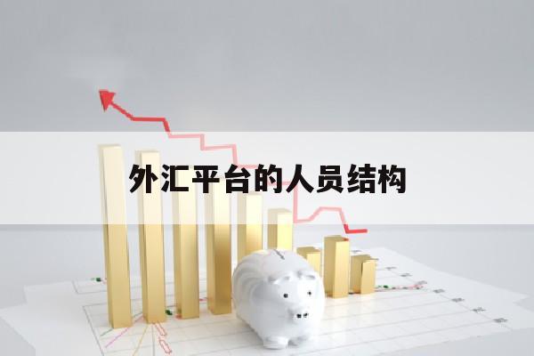 外汇平台的人员结构(外汇平台经营模式)