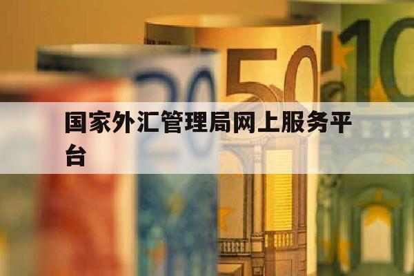 关于国家外汇管理局网上服务平台的信息