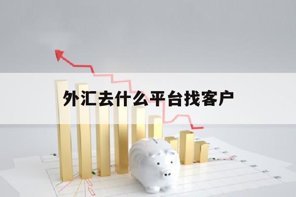 外汇去什么平台找客户(外汇怎么找客户)