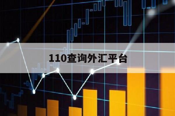 110查询外汇平台(外汇110查询外汇平台官网)