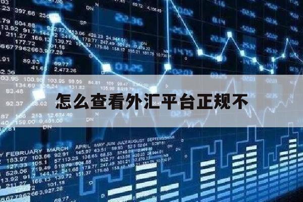 怎么查看外汇平台正规不(怎样查看外汇平台的是否正规)