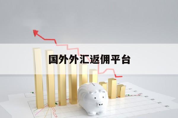 国外外汇返佣平台(外汇返利网官方网站)