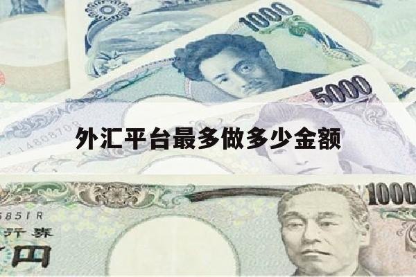 外汇平台最多做多少金额(外汇平台最多做多少金额的业务)