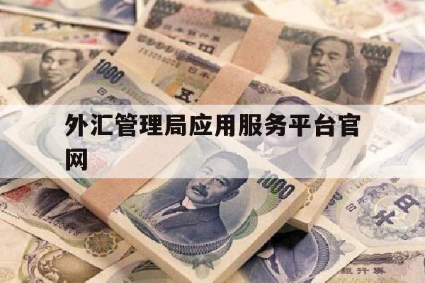 外汇管理局应用服务平台官网(外汇管理局应用服务平台官网登录)