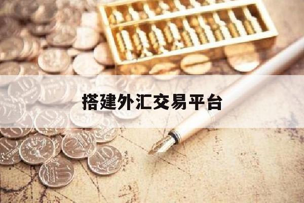 搭建外汇交易平台(搭建外汇交易平台的目的)