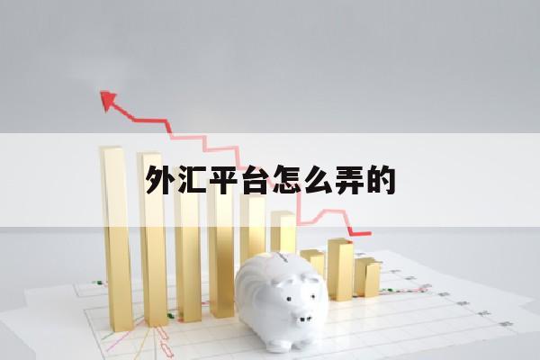 外汇平台怎么弄的(外汇平台怎么弄的出来)