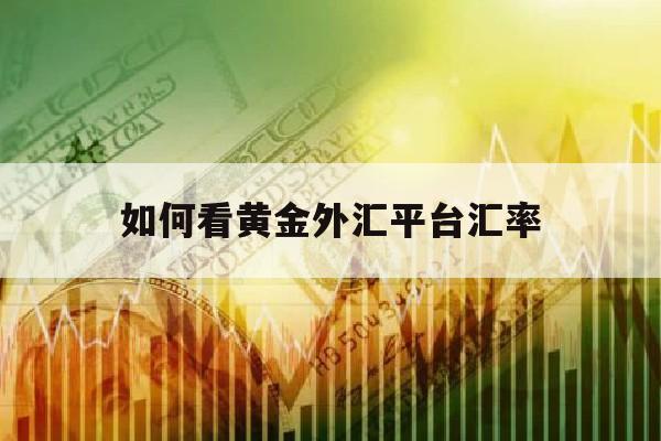 如何看黄金外汇平台汇率(黄金外汇的数据在哪里可以看)