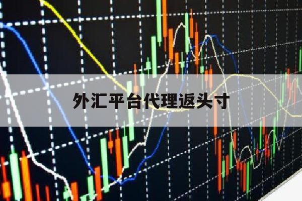 外汇平台代理返头寸(外汇返佣代理方案细则说明)