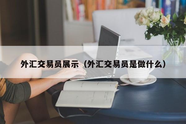 外汇交易员展示（外汇交易员是做什么）