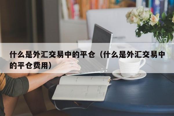 什么是外汇交易中的平仓（什么是外汇交易中的平仓费用）