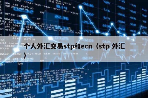 个人外汇交易stp和ecn（stp 外汇）