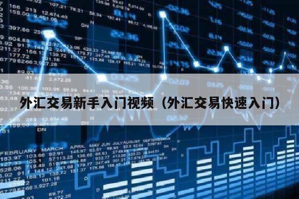 外汇交易新手入门视频（外汇交易快速入门）